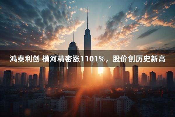 鸿泰利创 横河精密涨1101%，股价创历史新高