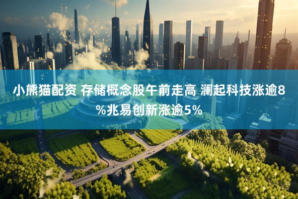 小熊猫配资 存储概念股午前走高 澜起科技涨逾8%兆易创新涨逾5%