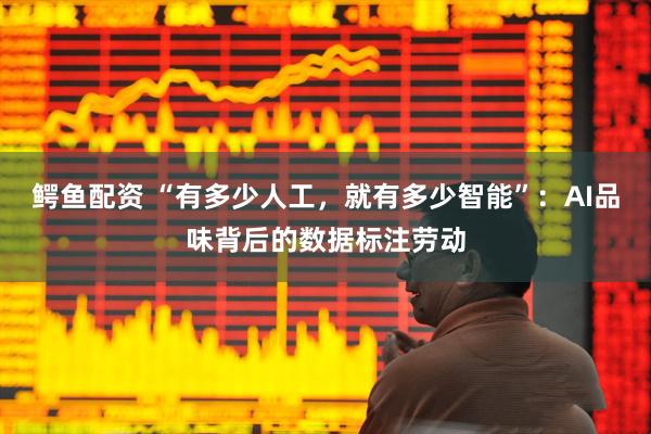 鳄鱼配资 “有多少人工，就有多少智能”：AI品味背后的数据标注劳动